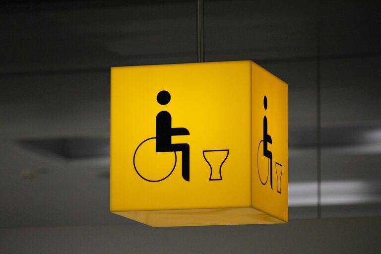 disabled-toilet-548404_1920